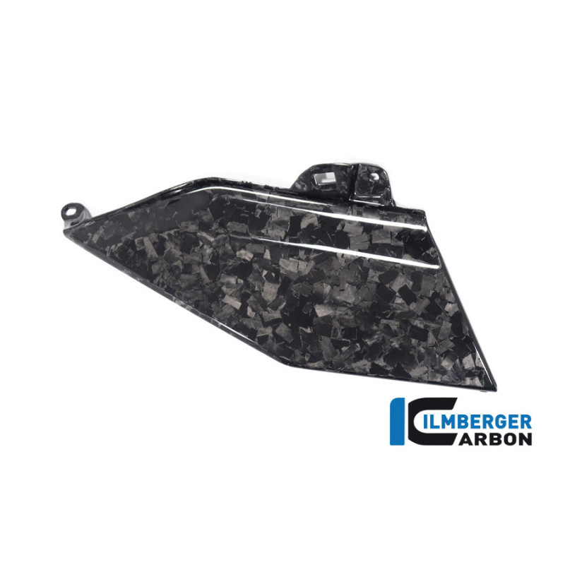Flanc de réservoir haut gauche carbone pour R 1300 GS