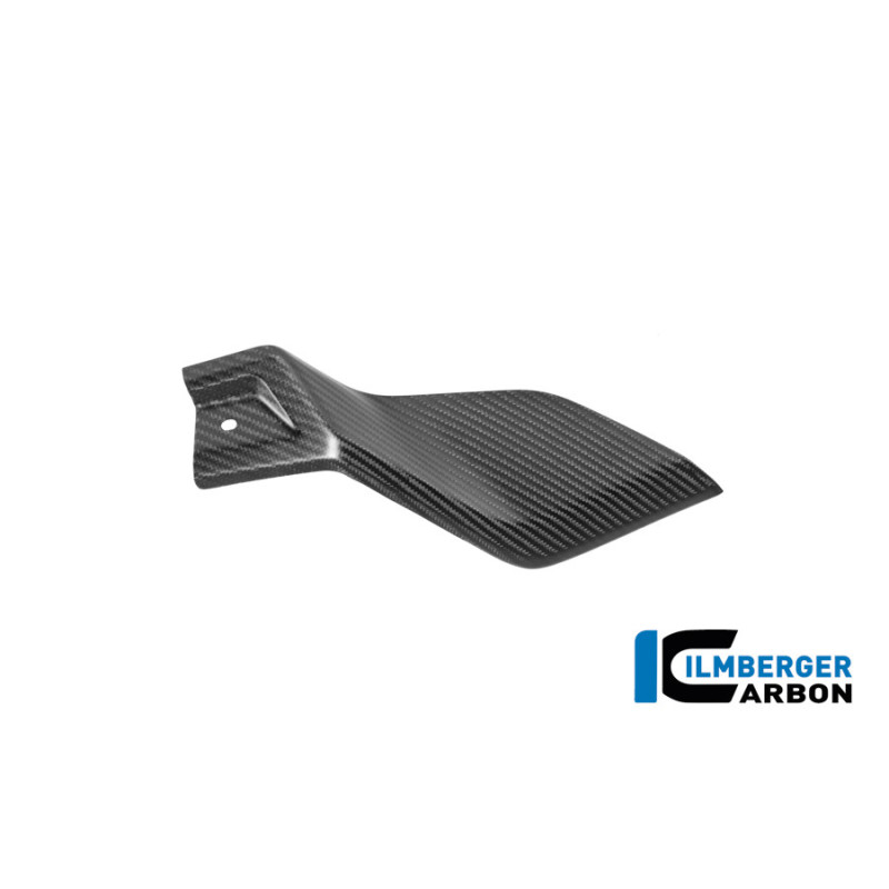 Flanc de réservoir bas gauche carbone pour R 1300 GS Adventure