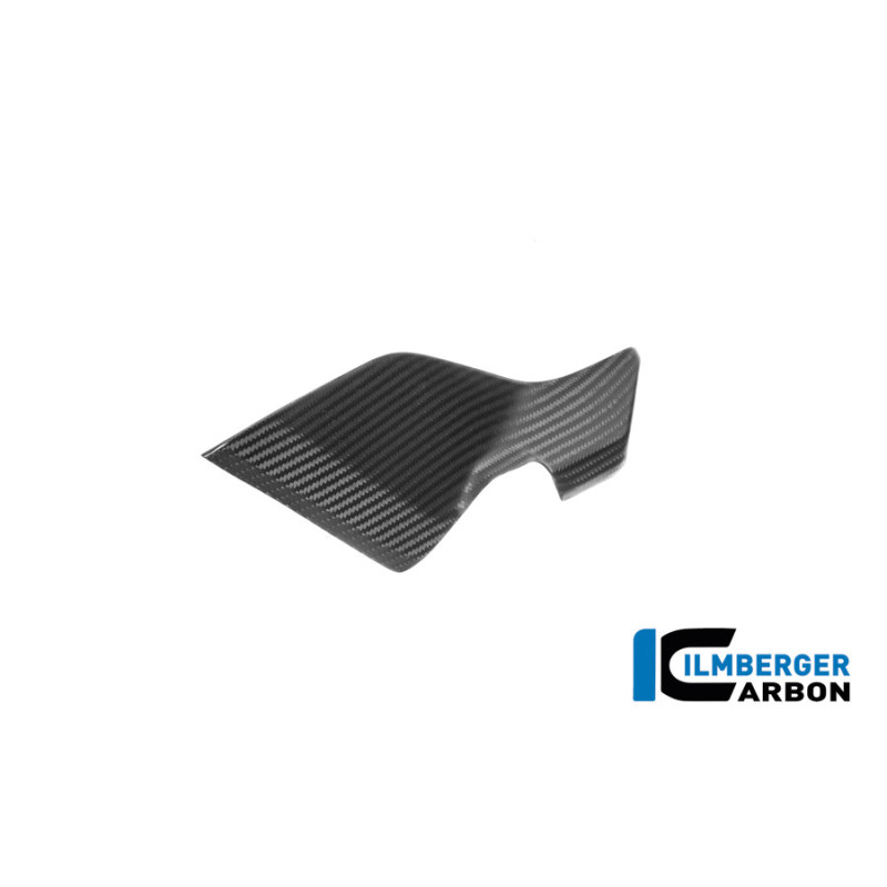 Flanc de réservoir bas droit carbone pour R 1300 GS Adventure