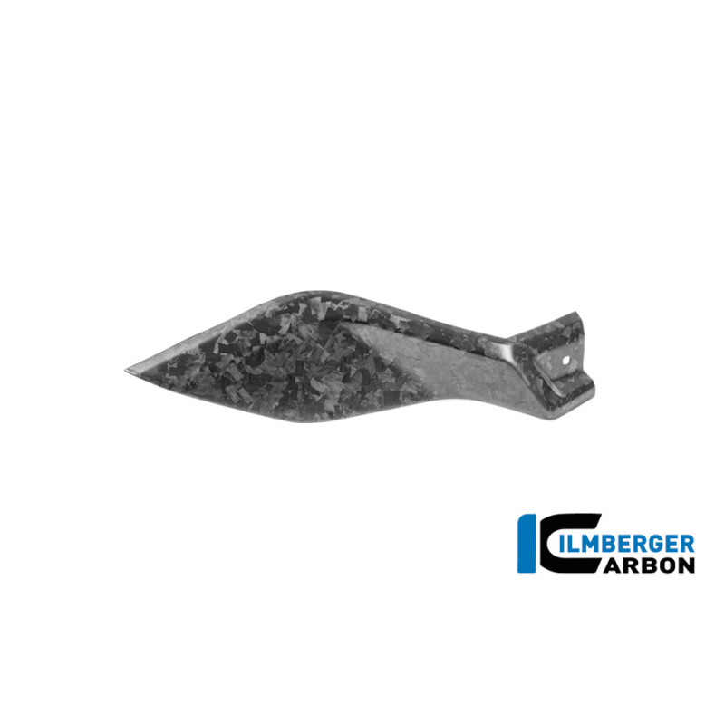 Flanc de réservoir bas droit carbone pour R 1300 GS Adventure