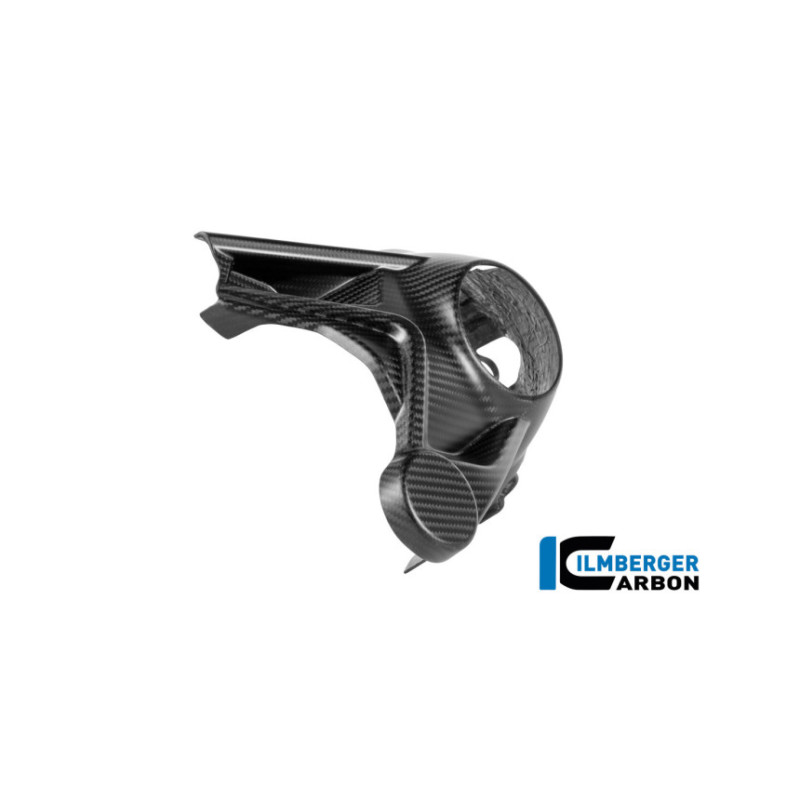 Cache de carter de cardan carbone pour BMW R 1300 GS & GSA | Ilmberger Carbon
