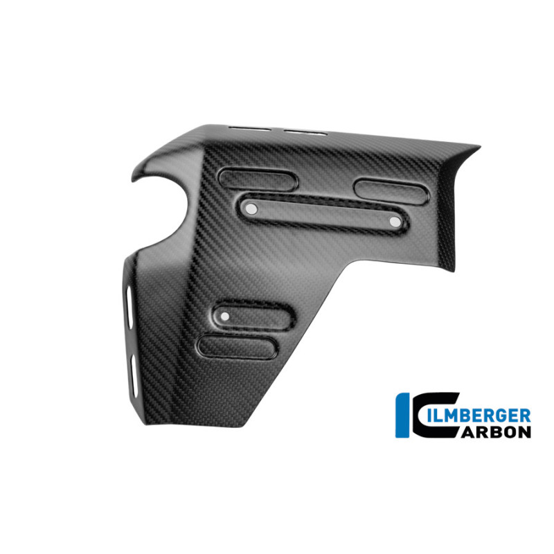 Habillage de radiateur gauche carbone pour BMW R 1300 GS Adventure | Ilmberger Carbon
