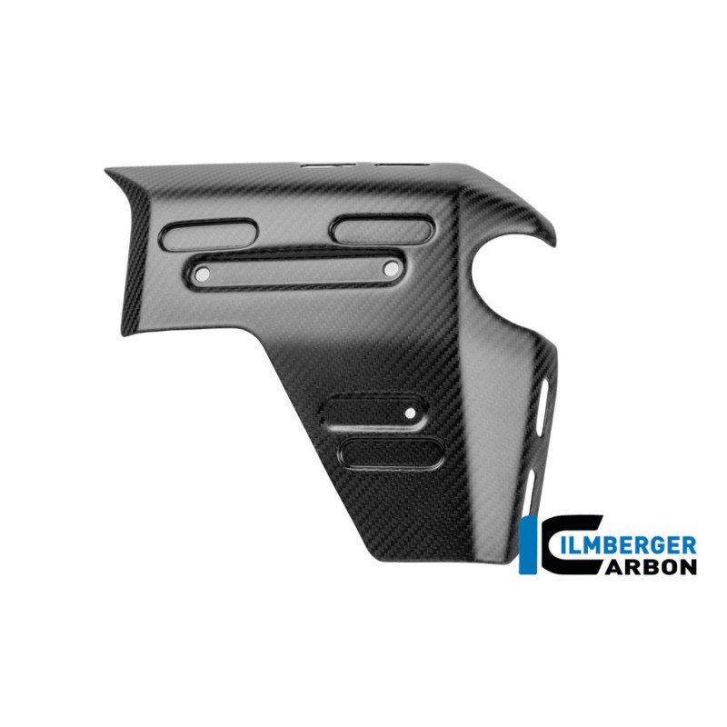 Habillage de radiateur droit carbone pour R 1300 GS Adventure