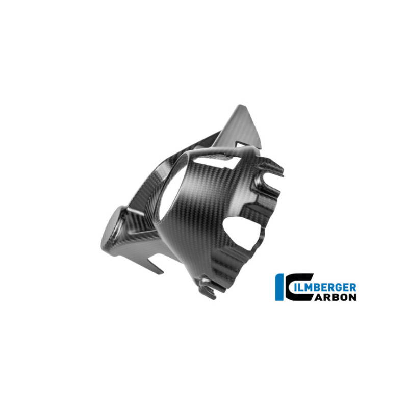 Cache de carter de cardan carbone pour BMW R 1300 GS & GSA | Ilmberger Carbon