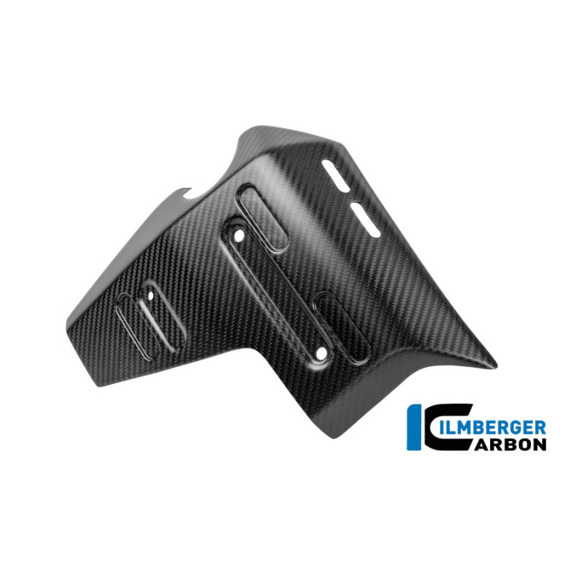 Habillage de radiateur gauche carbone pour BMW R 1300 GS Adventure | Ilmberger Carbon