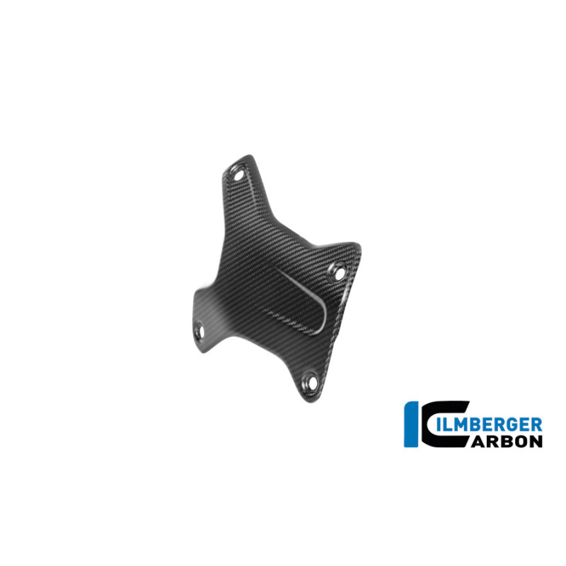 Cache de couvre-culasse droit carbone pour R 1300 GS & GSA
