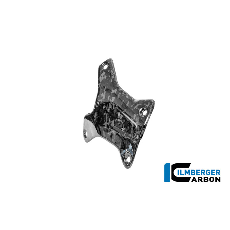 Cache de couvre-culasse droit carbone pour BMW R 1300 GS & GSA | Ilmberger Carbon