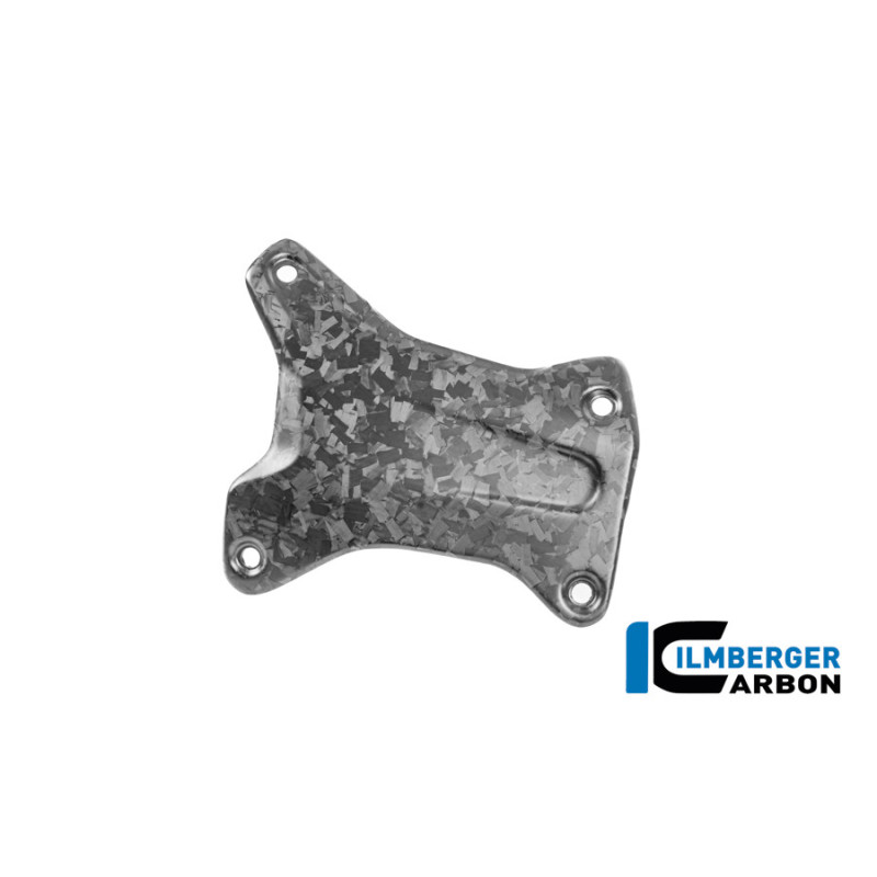 Cache de couvre-culasse droit carbone pour R 1300 GS & GSA