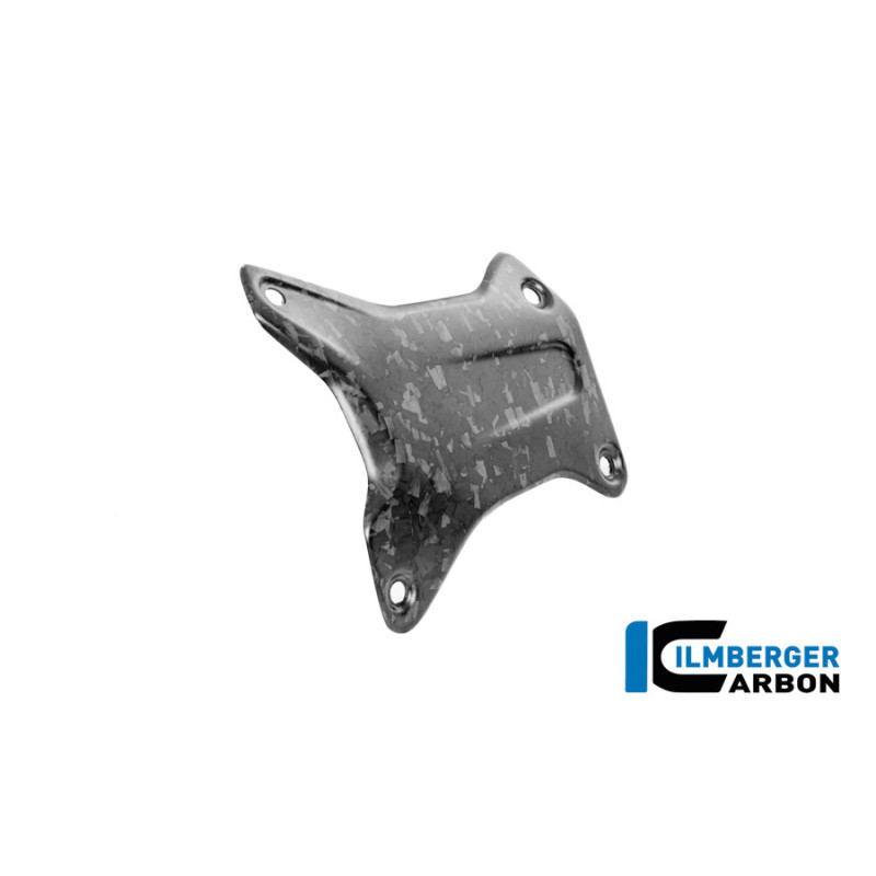 Cache de couvre-culasse droit carbone pour R 1300 GS & GSA