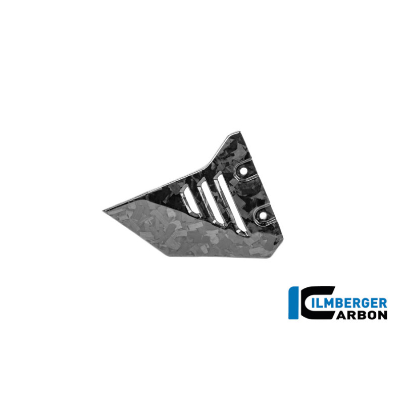 Couvercle de cadre avant gauche carbone pour BMW R 1300 GS Adventure | Ilmberger Carbon