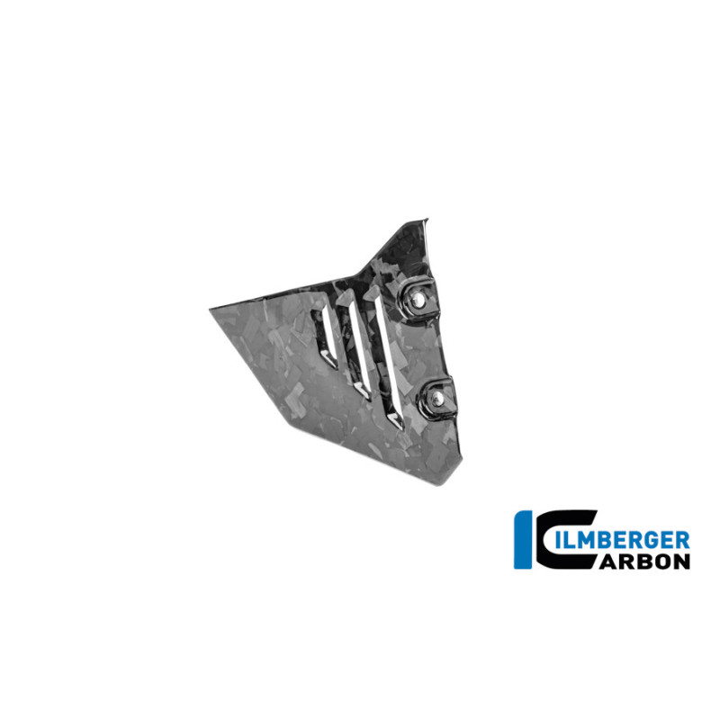 Couvercle de cadre avant gauche carbone pour BMW R 1300 GS Adventure | Ilmberger Carbon