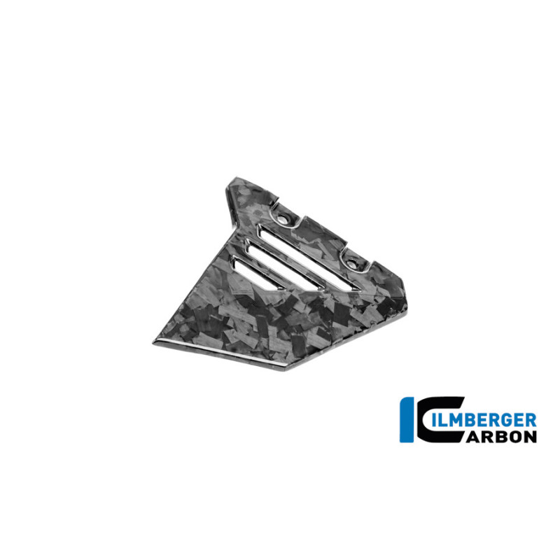 Couvercle de cadre avant gauche carbone pour BMW R 1300 GS Adventure | Ilmberger Carbon
