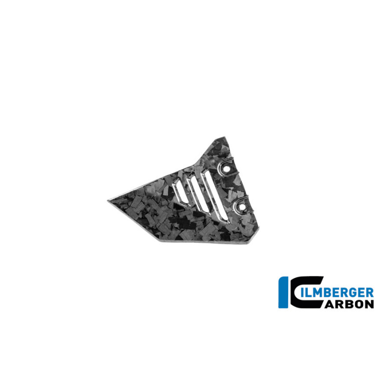 Couvercle de cadre avant gauche carbone pour BMW R 1300 GS Adventure | Ilmberger Carbon