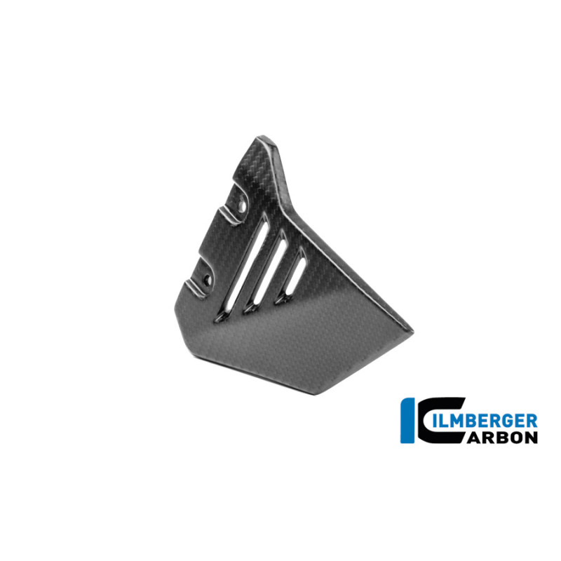 Couvercle de cadre avant droit carbone pour R 1300 GS Adventure