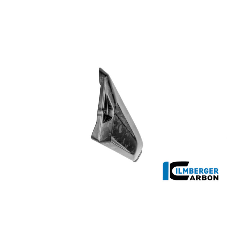 Couvercle de cadre arrière gauche carbone pour BMW R 1300 GS Adventure | Ilmberger Carbon