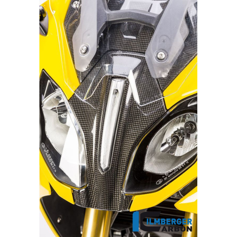Tête de fourche centrale carbone pour BMW R 1200 RS | Ilmberger Carbon