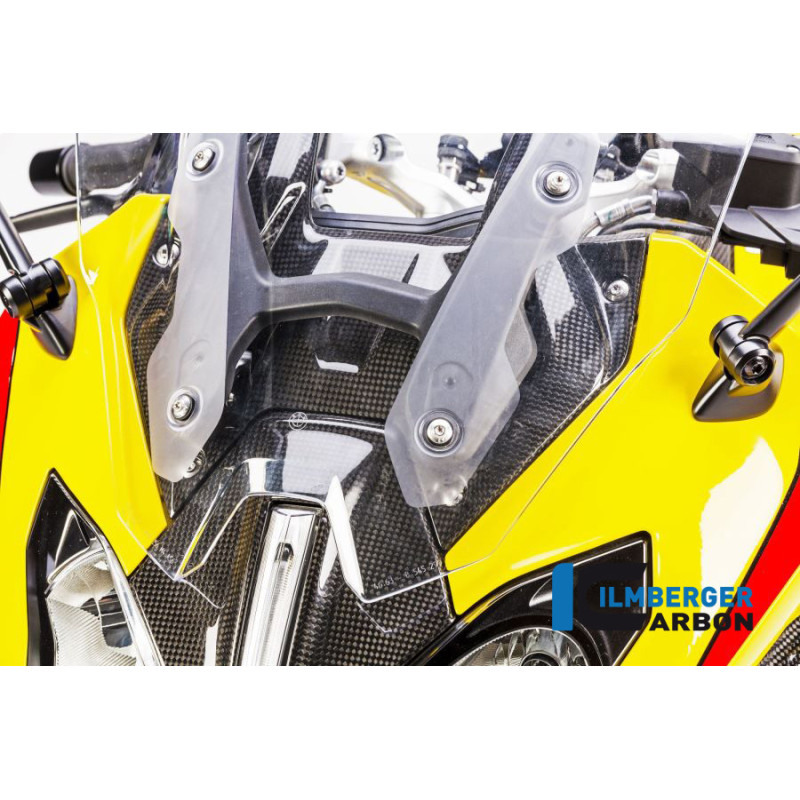 Tête de fourche centrale carbone pour BMW R 1200 RS | Ilmberger Carbon