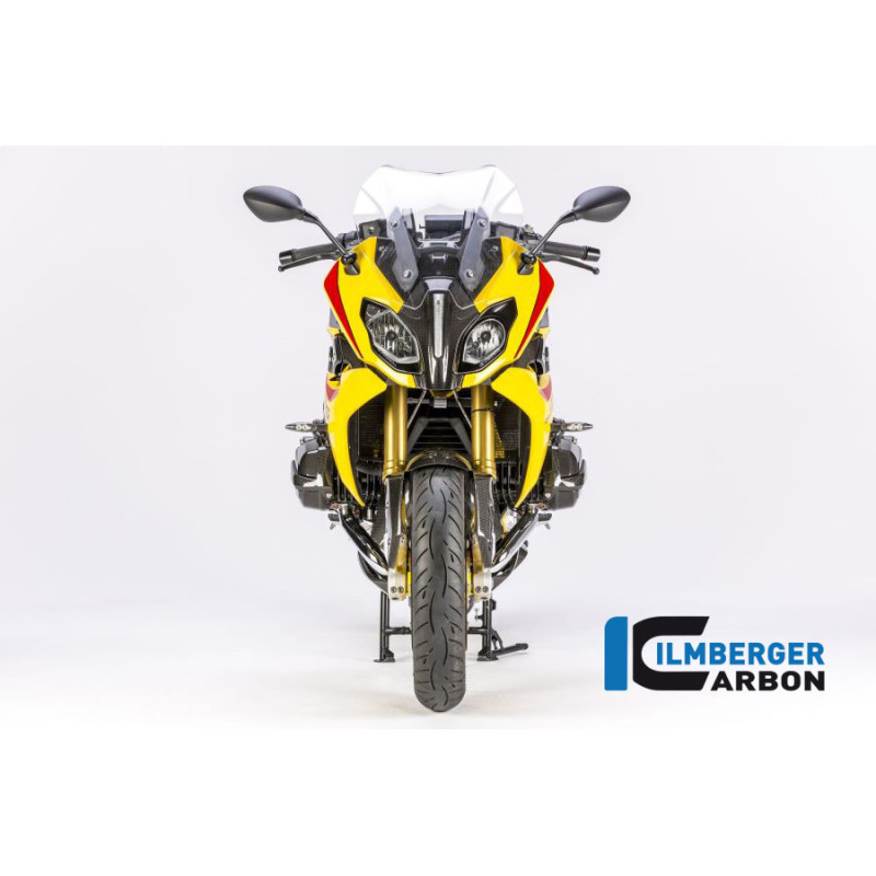 Tête de fourche centrale carbone pour BMW R 1200 RS | Ilmberger Carbon