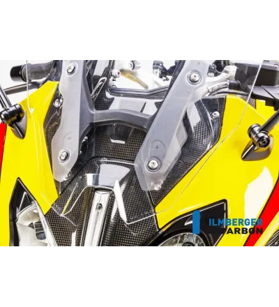Cache supérieur de tête de fourche centrale carbone pour BMW R 1200 RS | Ilmberger Carbon