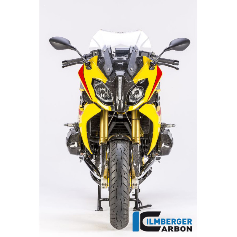 Habillage centrale supérieur carbone pour R 1200 RS