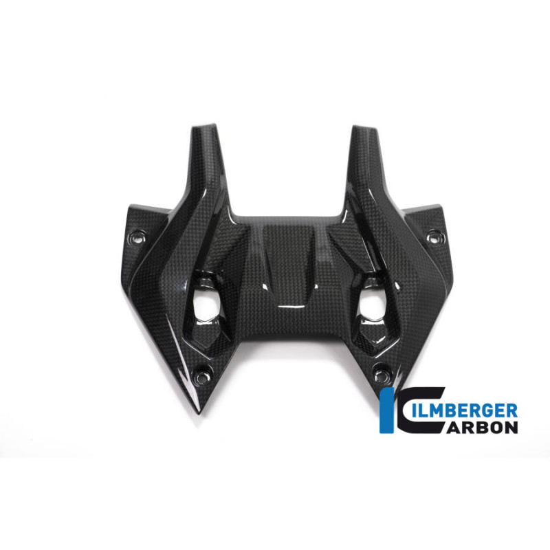 Cache supérieur de tête de fourche centrale carbone pour BMW R 1200 RS | Ilmberger Carbon