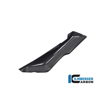 Déflecteur sous carénage supérieur gauche carbone pour BMW R 1250 RS | Ilmberger Carbon