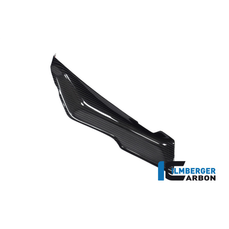 Déflecteur sous carénage supérieur gauche carbone pour BMW R 1250 RS | Ilmberger Carbon