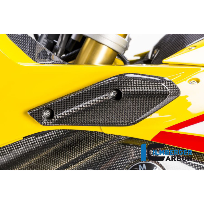 Aileron de carénage gauche carbone pour BMW R 1200 RS | Ilmberger Carbon