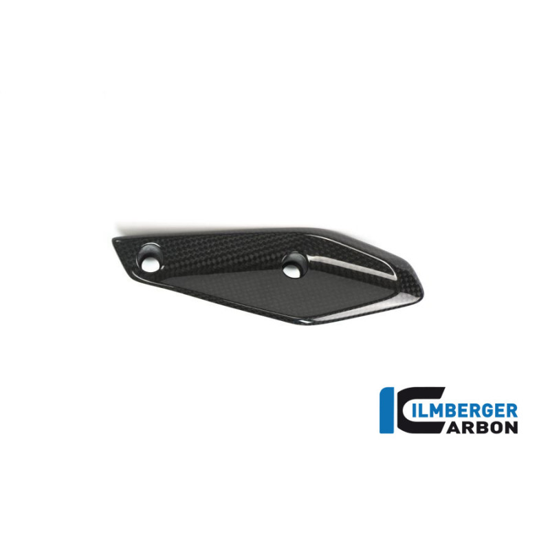 Aileron de carénage gauche carbone pour BMW R 1200 RS | Ilmberger Carbon