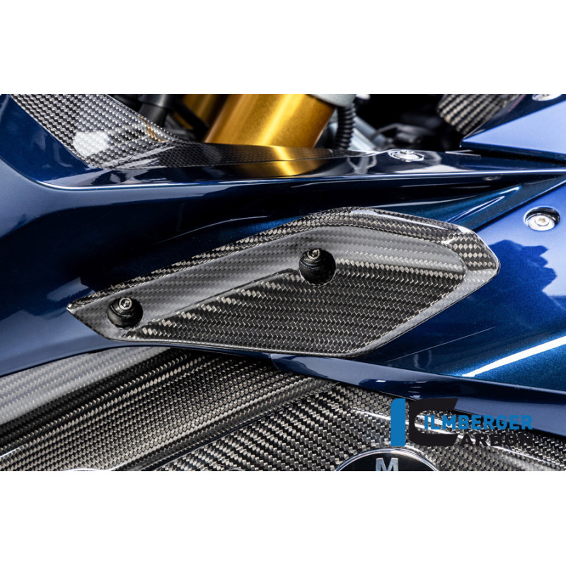 Aileron de carénage gauche carbone pour BMW R 1250 RS | Ilmberger Carbon