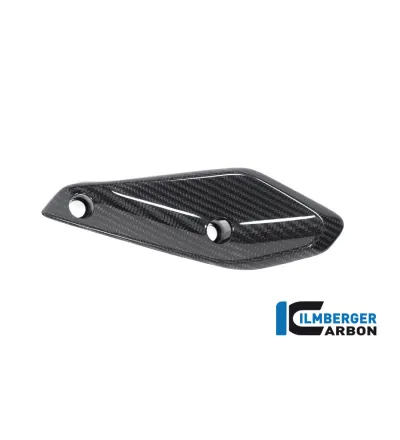 Aileron de carénage gauche carbone pour BMW R 1250 RS | Ilmberger Carbon