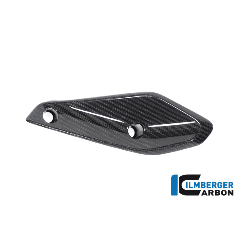Aileron de carénage gauche carbone pour BMW R 1250 RS | Ilmberger Carbon