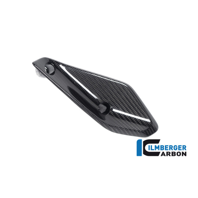 Aileron de carénage gauche carbone pour BMW R 1250 RS | Ilmberger Carbon