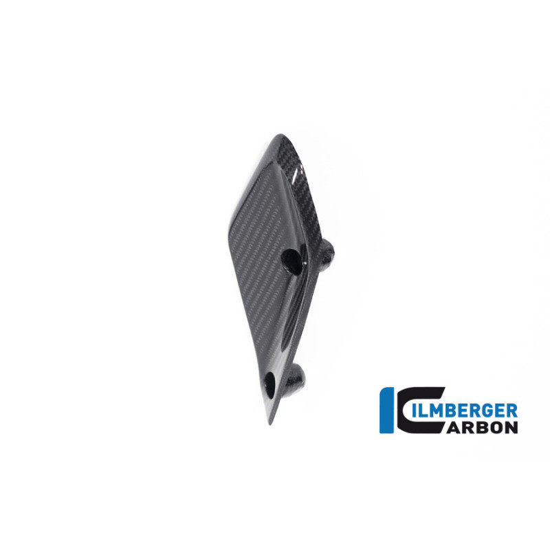 Aileron de carénage gauche carbone pour BMW R 1250 RS | Ilmberger Carbon