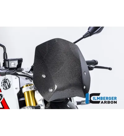 Saute-vent carbone pour BMW R 1200 R | Ilmberger Carbon