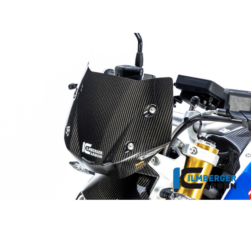 Saute-vent carbone pour R 1250 R