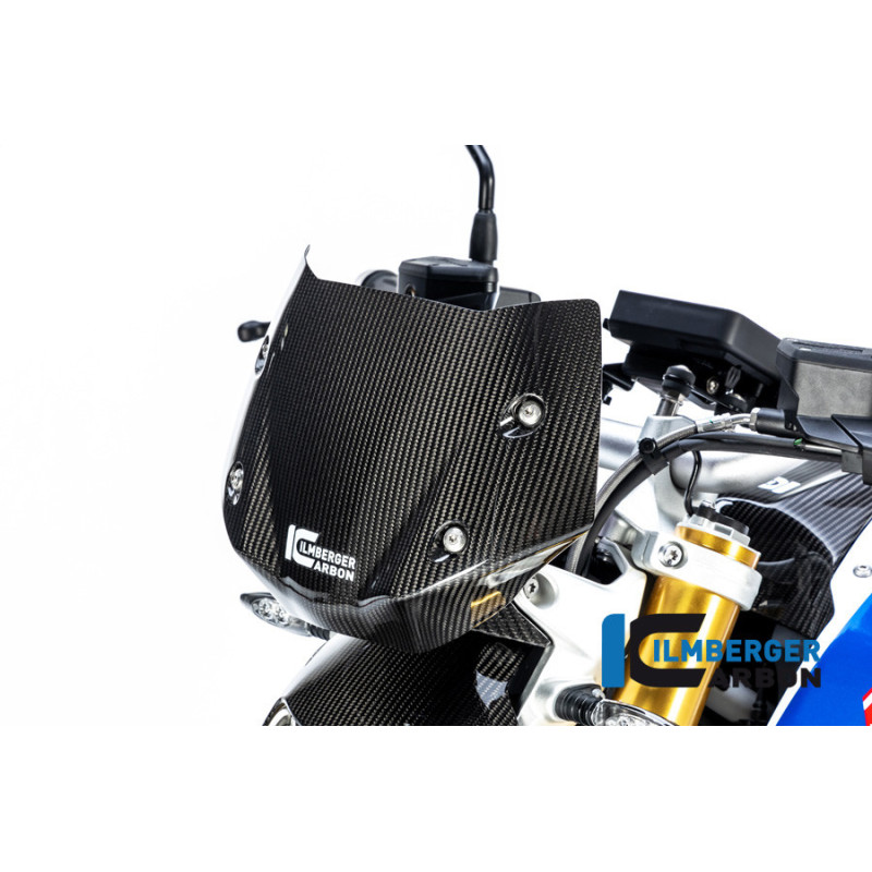 Saute-vent carbone pour R 1250 R