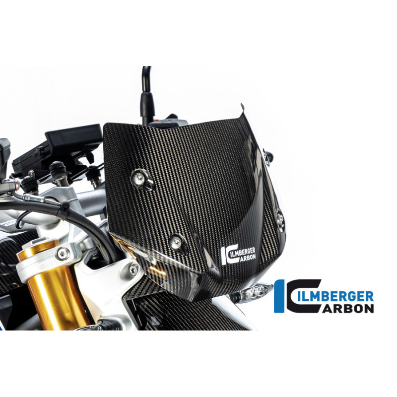Saute-vent carbone pour BMW R 1250 R | Ilmberger Carbon