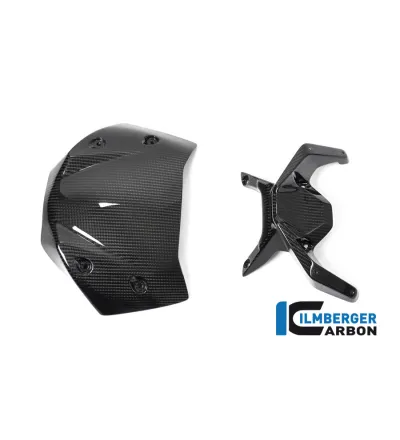 Saute-vent carbone pour BMW R 1250 R | Ilmberger Carbon