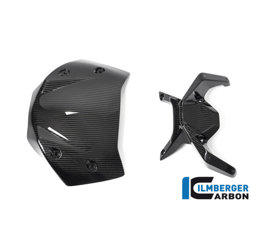 Saute-vent carbone pour BMW R 1250 R | Ilmberger Carbon