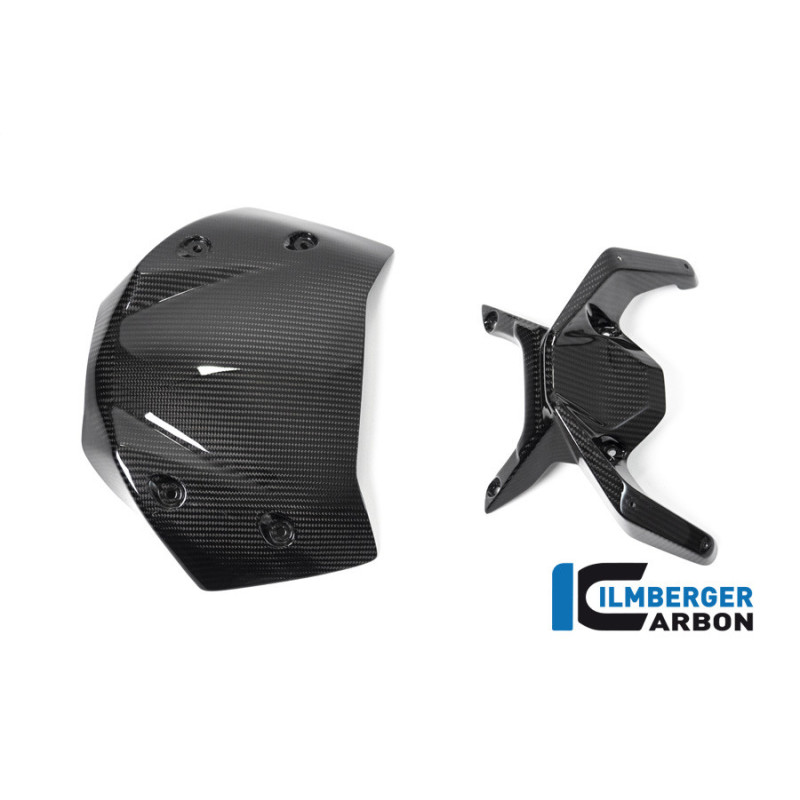 Saute-vent carbone pour BMW R 1250 R | Ilmberger Carbon