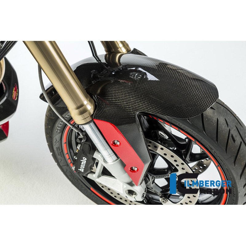 Garde-boue avant carbone pour BMW R 1200 R & RS | Ilmberger Carbon