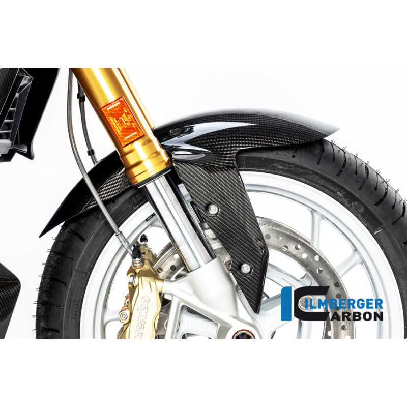 Garde-boue avant carbone pour R 1250 R & RS