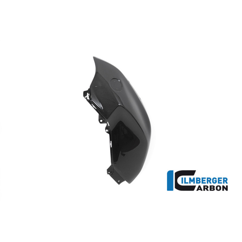 Flanc de réservoir gauche carbone pour BMW R 1250 R | Ilmberger Carbon