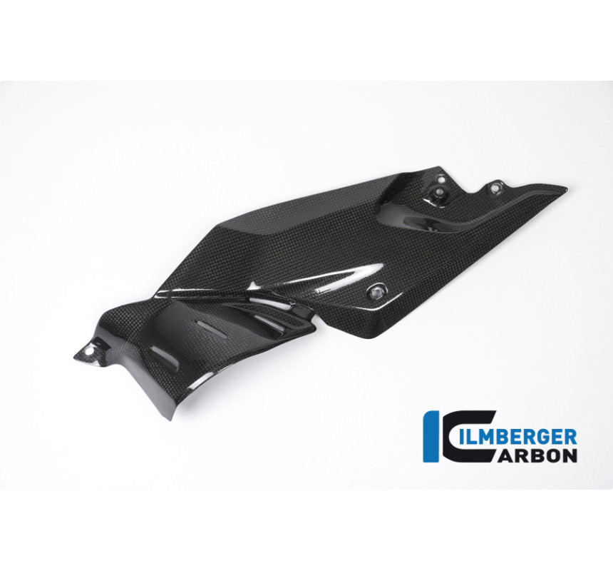 Flanc de réservoir bas gauche carbone pour BMW R 1200 R | Ilmberger Carbon