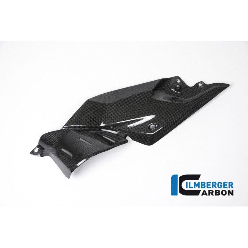 Flanc de réservoir bas gauche carbone pour BMW R 1200 R | Ilmberger Carbon