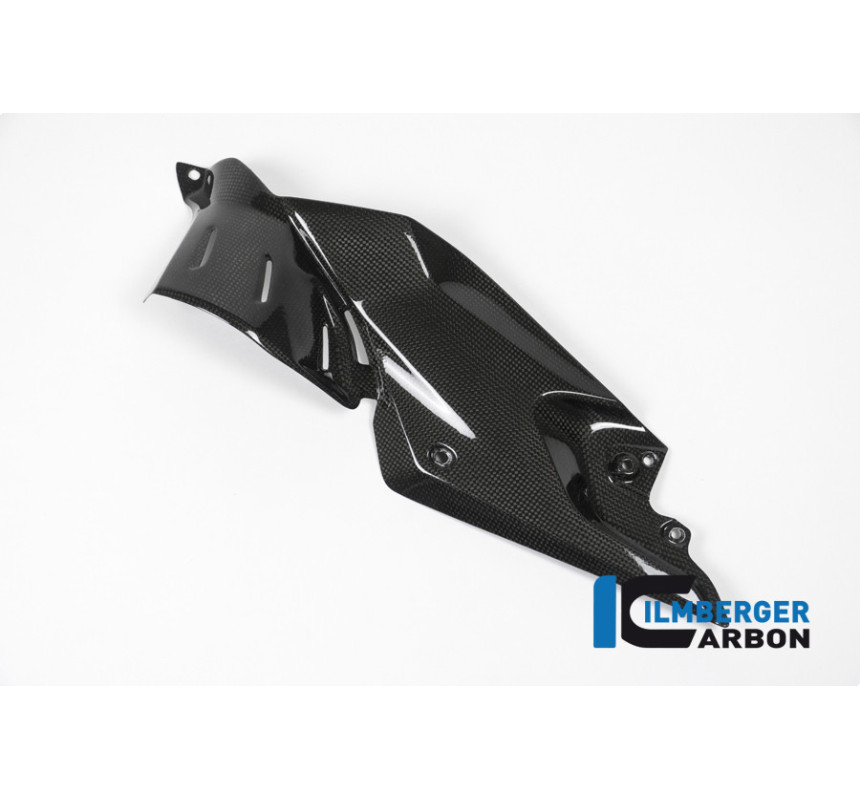Flanc de réservoir bas gauche carbone pour R 1200 R