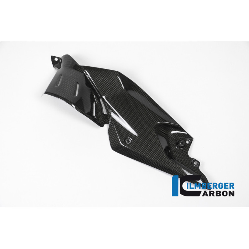 Flanc de réservoir bas gauche carbone pour R 1200 R