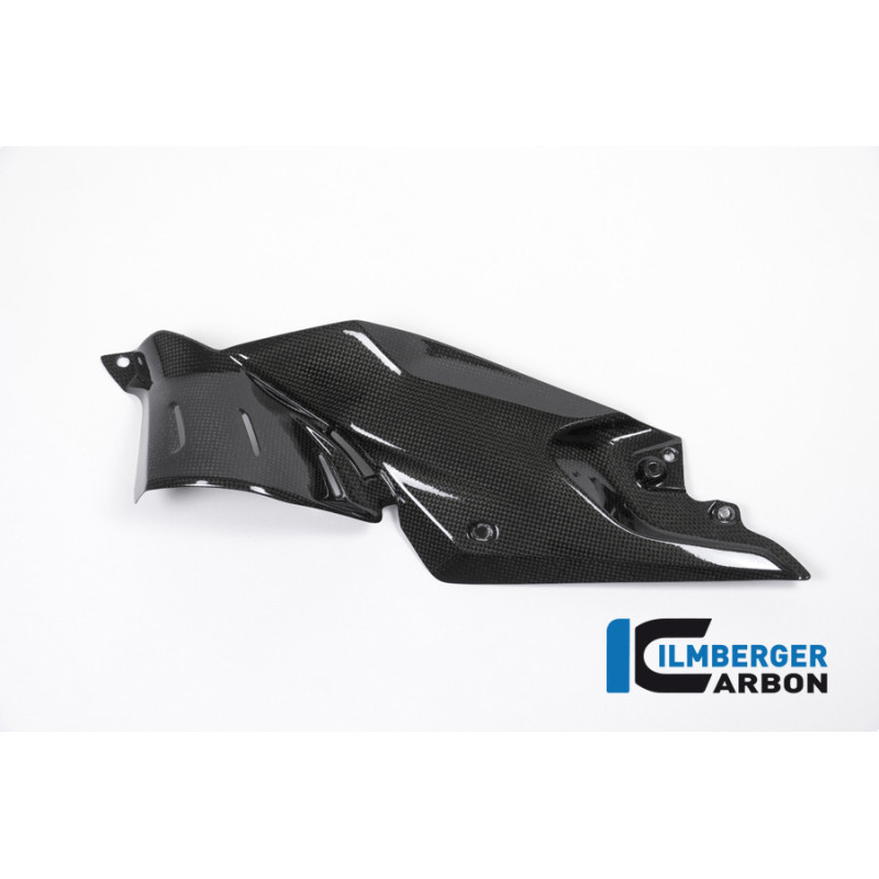 Flanc de réservoir bas gauche carbone pour BMW R 1200 R | Ilmberger Carbon