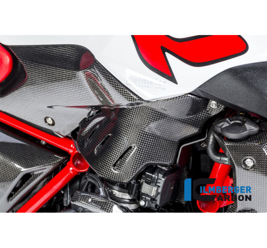 Flanc de réservoir bas droit carbone pour R 1200 R